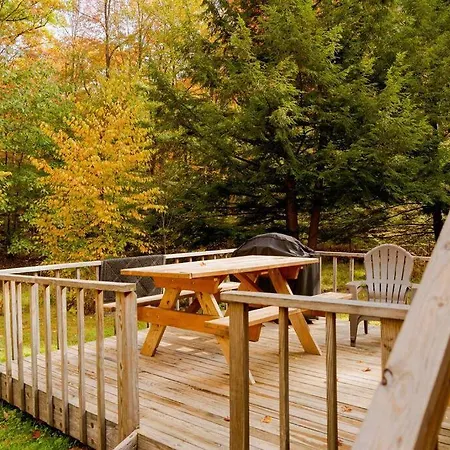 Salmon Creek Cabin - Allegheny National Forest Marienville Exterior photo