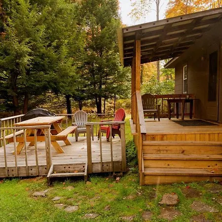 Salmon Creek Cabin - Allegheny National Forest Marienville Exterior photo