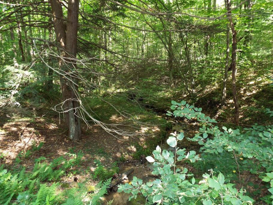 Сasa de vacaciones Salmon Creek - Allegheny National Forest